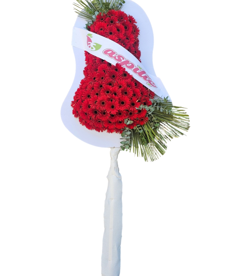 KIRMIZI GERBERA DUVAK