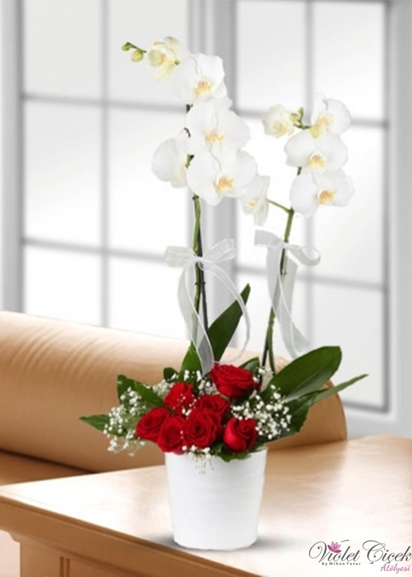 Beyaz Orkide Ve Kırmızı Güller